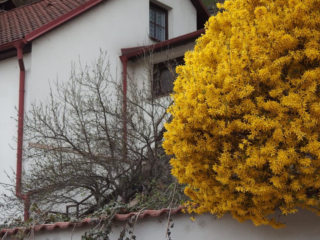 Apartmány u Koček Tábor Exterior foto